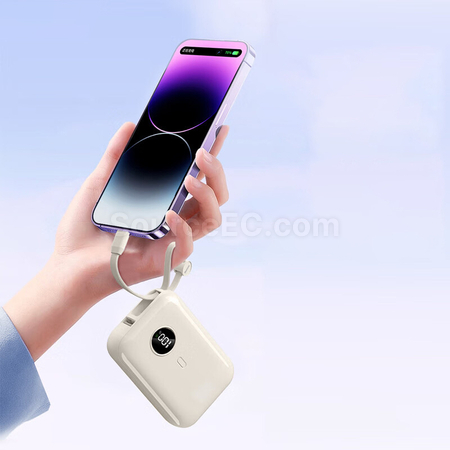 Customization 3C Certified Power Bank  Promotional Products