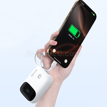 Customization 3C Certified Power Bank  Promotional Products