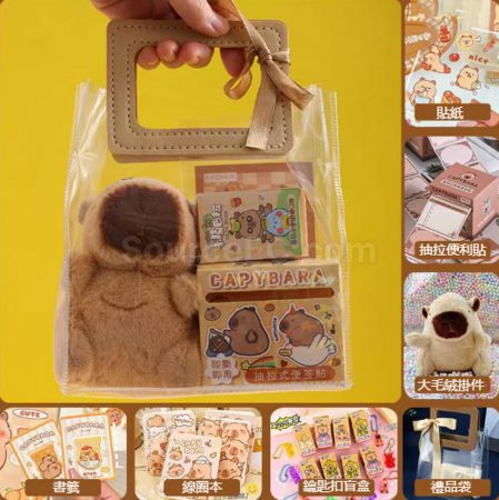 Customization Capybara Stationery Set Promotional Products