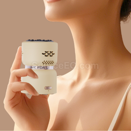 Customization Handheld Bianstone Moxibustion Beauty Instrument Promotional Products