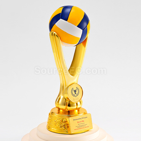 Customization Ball Trophy Promotional Products
