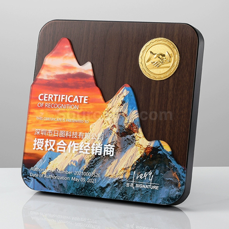 Customization Medal Promotional Products