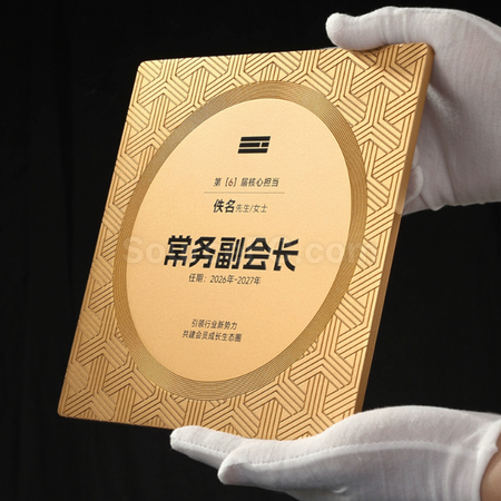 Customization Metal Medal Promotional Products