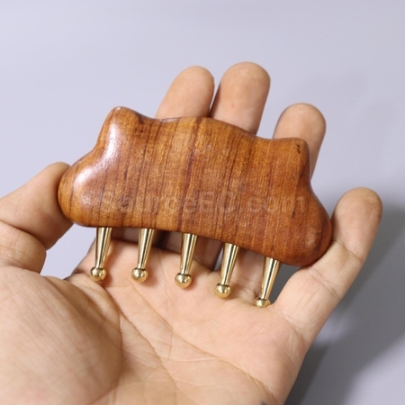 Customization Meridian wooden comb Promotional Products