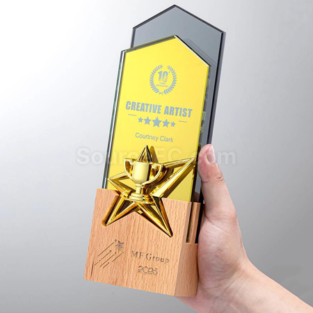 Customization Creative Wood Award Promotional Products