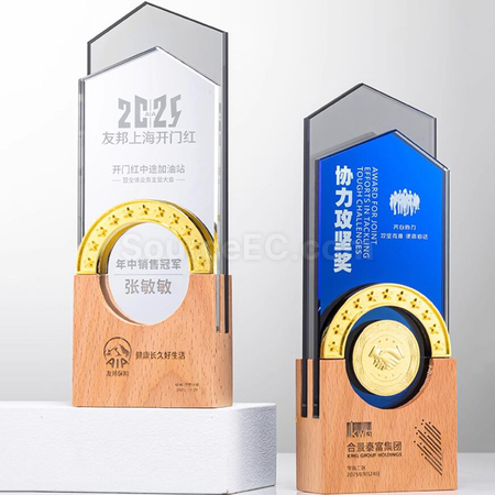 Customization Creative Wood Award Promotional Products
