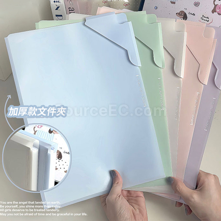 Customization A4 Divider File Folder Promotional Products