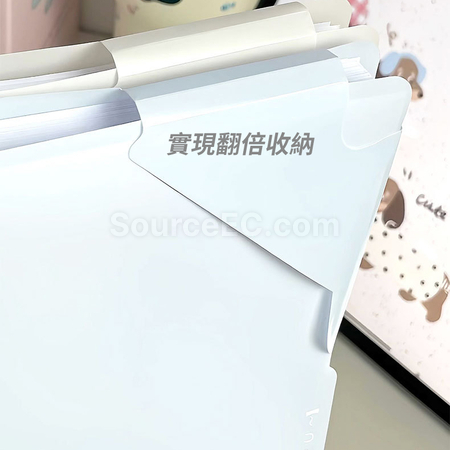Customization A4 Divider File Folder Promotional Products