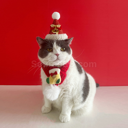 Customization Pet Christmas Set Promotional Products