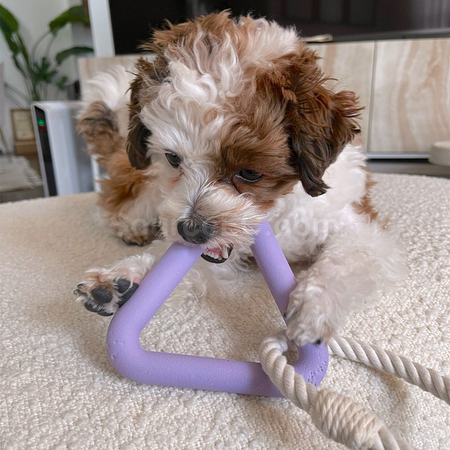 Customization Pet Gnawing Toy Promotional Products