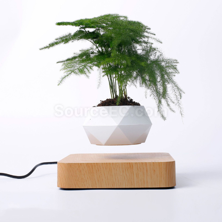 Customization Magnetic Levitation Bonsai (Without Plants) Promotional Products