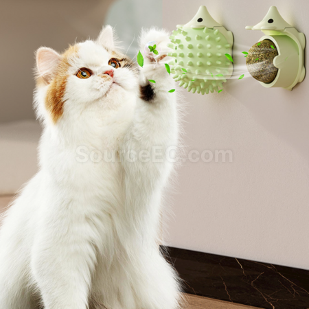 Customization Pet toy ball for teeth grinding and itch rubbing Promotional Products