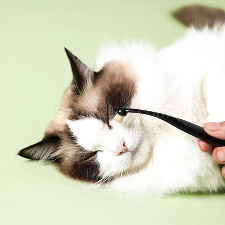 Customization Pet tear stain brush Promotional Products