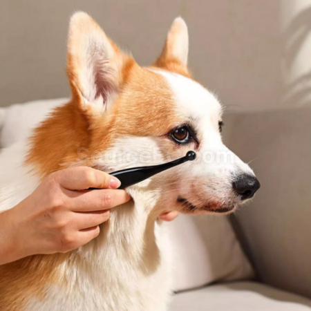 Customization Pet tear stain brush Promotional Products
