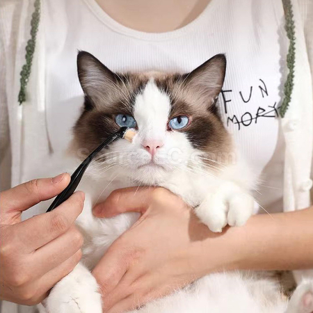 Customization Pet tear stain brush Promotional Products