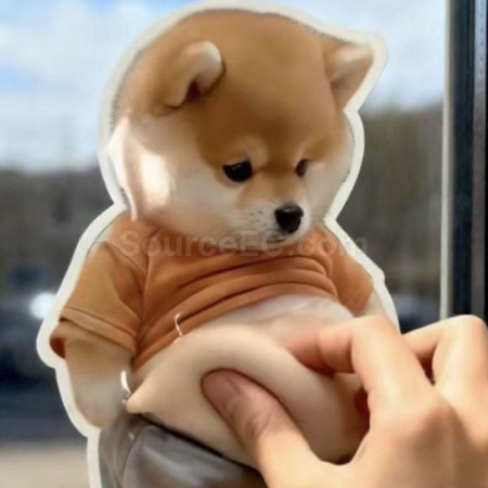 Customization Big-Bellied Puppy Squeezeable Toy Stress Reliever Sticker Promotional Products