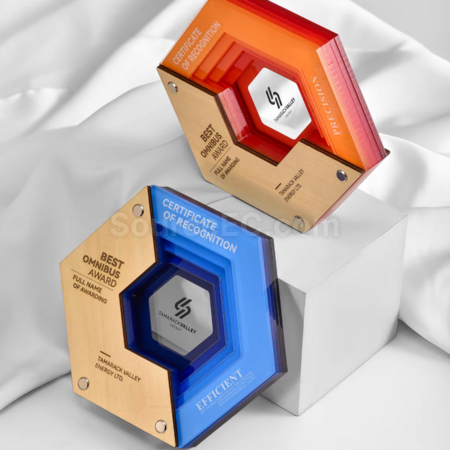 Customization Multi-layer Acrylic Wooden Trophy Promotional Products