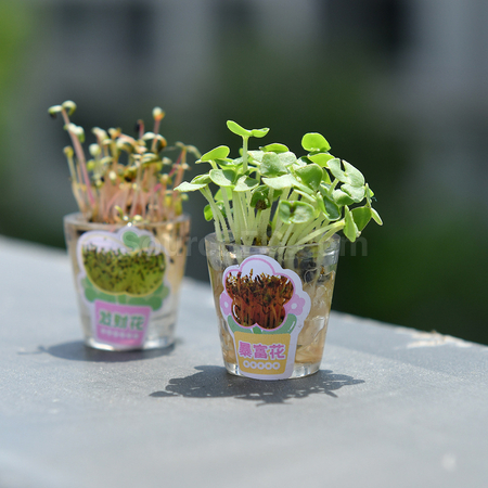 Customization Grass-planting Pen Promotional Products