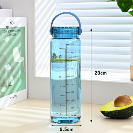 Customization 500ML Promotional Bottle Promotional Products