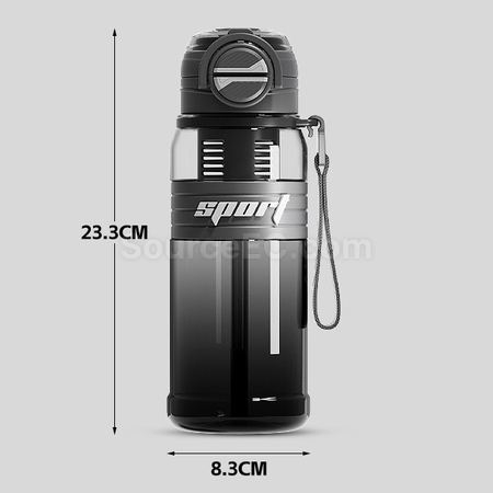 Customization Dual-suction Straw Sports Water Bottle Promotional Products