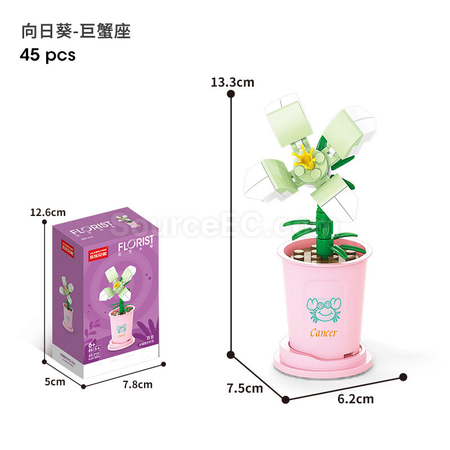 Customization Coffee Cup Plant Series Building Blocks-The 12 Zodiac Signs' Guardian Flower Collection Promotional Products