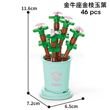Customization Coffee Cup Plant Series Building Blocks-12 Constellations Succulent Series Promotional Products