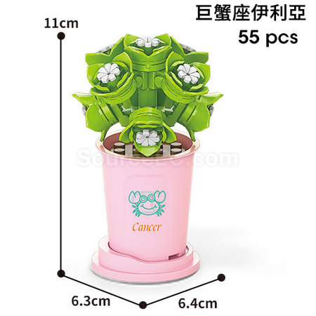Customization Coffee Cup Plant Series Building Blocks-12 Constellations Succulent Series Promotional Products