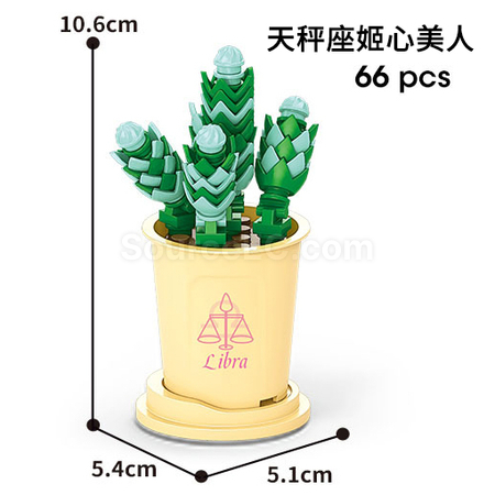 Customization Coffee Cup Plant Series Building Blocks-12 Constellations Succulent Series Promotional Products