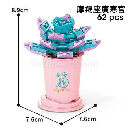 Customization Coffee Cup Plant Series Building Blocks-12 Constellations Succulent Series Promotional Products