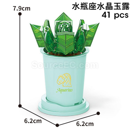 Customization Coffee Cup Plant Series Building Blocks-12 Constellations Succulent Series Promotional Products
