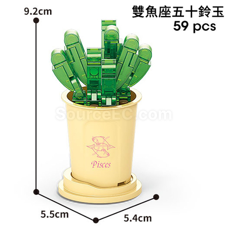 Customization Coffee Cup Plant Series Building Blocks-12 Constellations Succulent Series Promotional Products