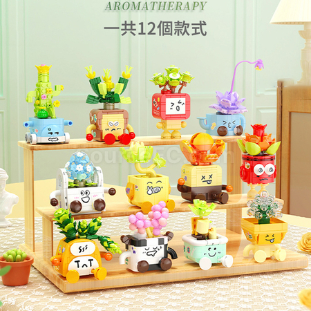 Customization Emoji Succulent Plant Building Blocks Box Promotional Products