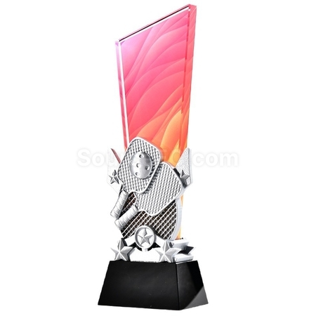 Customization Pickleball Themed Color Printed Crystal Trophy Promotional Products