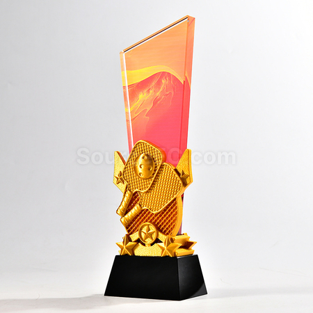 Customization Pickleball Themed Color Printed Crystal Trophy Promotional Products