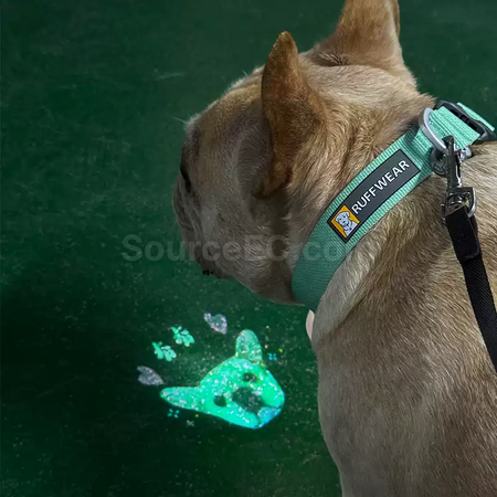 Customization Customizable Mini Projector Lights Promotional Products