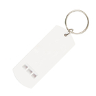 Whistle