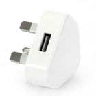 Hong Kong-style USB Adaptor