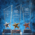 Star Crystal Trophy