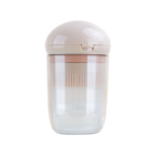 Multifunctional Pill Box