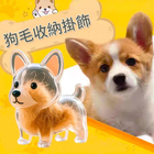 Cute Puppy Transparent Hair Storage Box