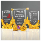 CustomizationCreative Crystal Banner AwardPromotional Products
